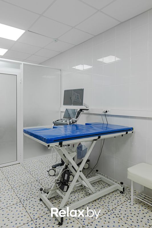 Интерьер  Ветеринарный центр доктора Базылевского А.А. Филиал «Минск 24/7» - фото 7827388