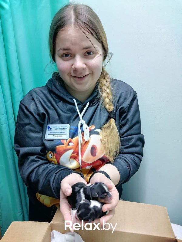 Галерея Ветеринарная клиника «СимбаВет» - фото 7852432