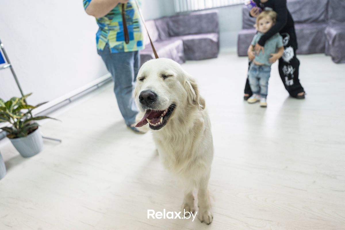 Галерея Ветеринарная клиника «Ветмедика+» - фото 7777925