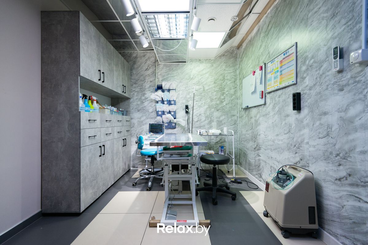 Галерея Ветеринарная клиника «Белая медведица» - фото 7723254