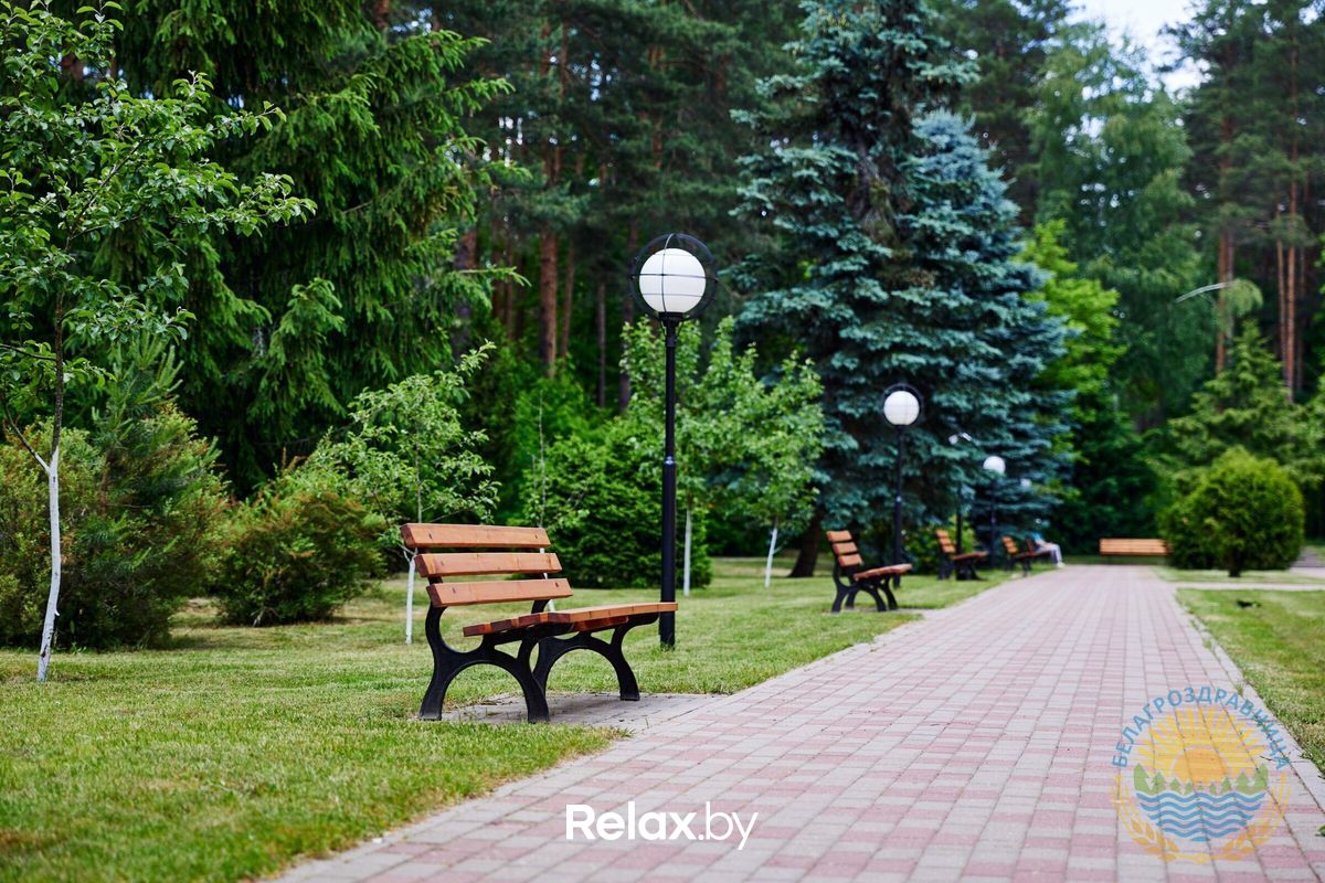 Территория Санаторий «Рассвет-Любань» - фото 7689335