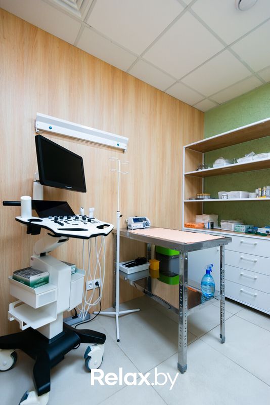 Галерея Ветклиника «Хвостатый нянь» - фото 7720274