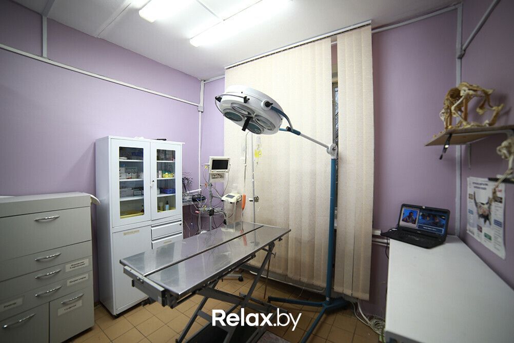 Галерея Ветеринарная клиника «ЭкспертВет» - фото 7700908