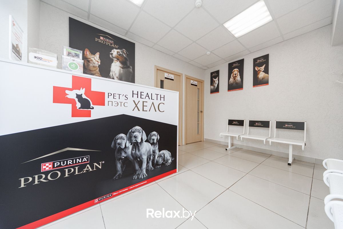 Интерьер Ветклиника «PET’S HEALTH (ПЕТС ХЕЛС)» - фото 7860706