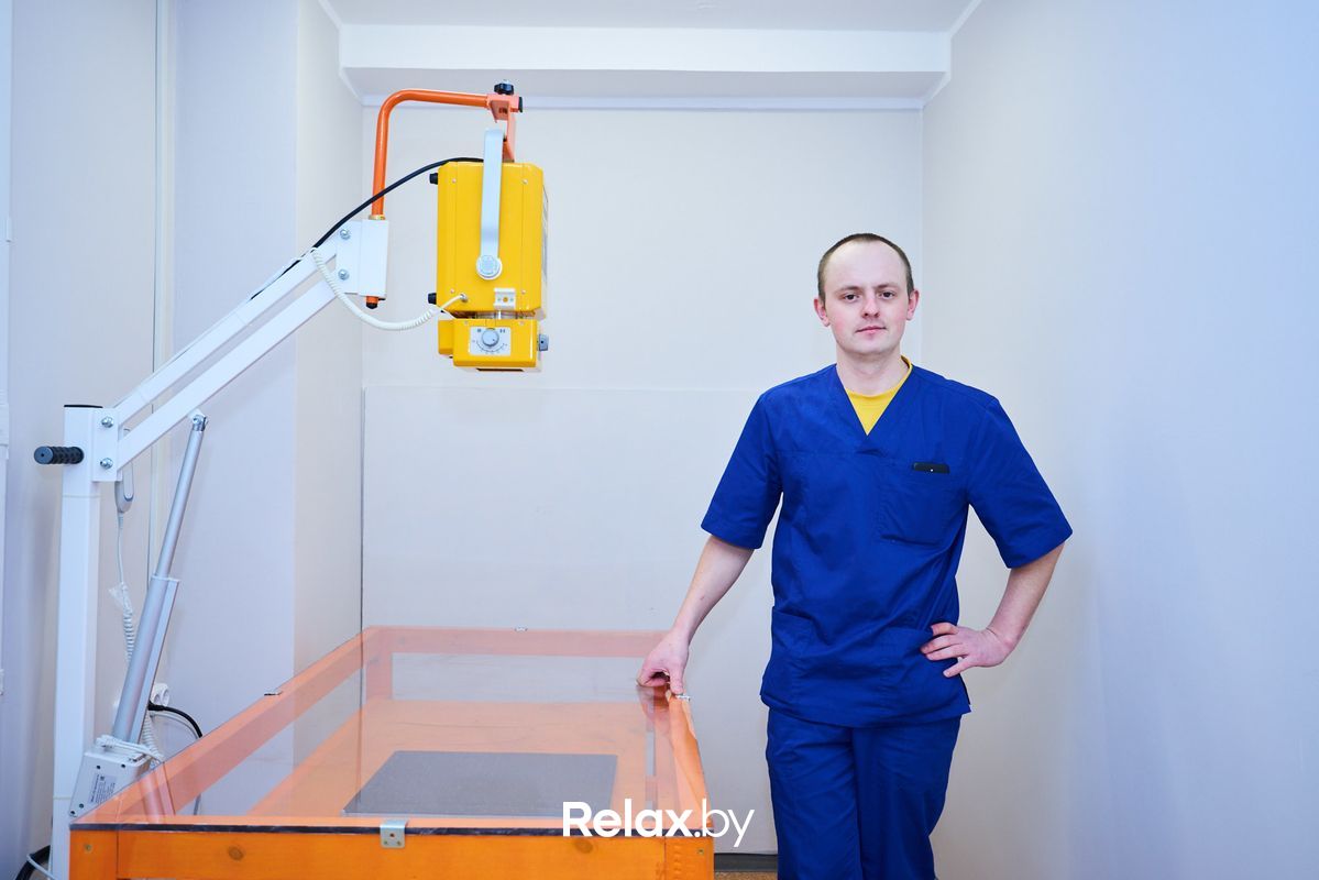 Галерея Ветеринарная клиника «Главное Хвост» - фото 5287003