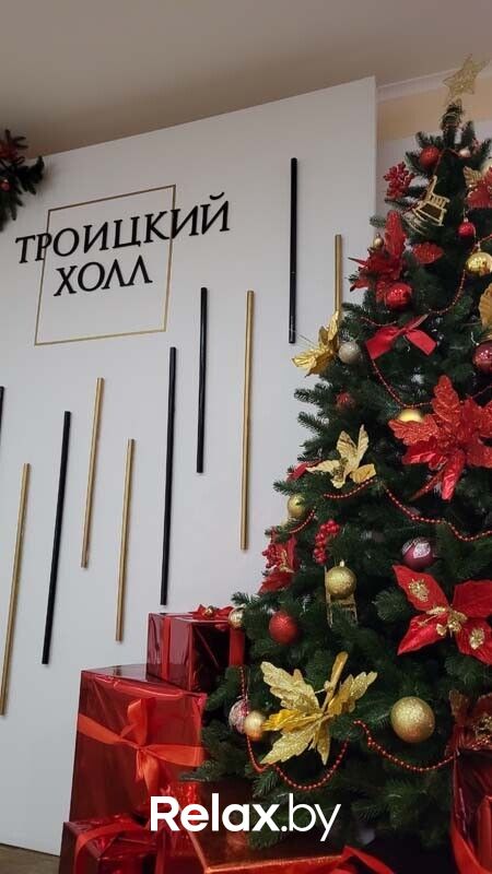 Новый год 2026 Банкетный комплекс «Троицкий Холл» - фото 7780997
