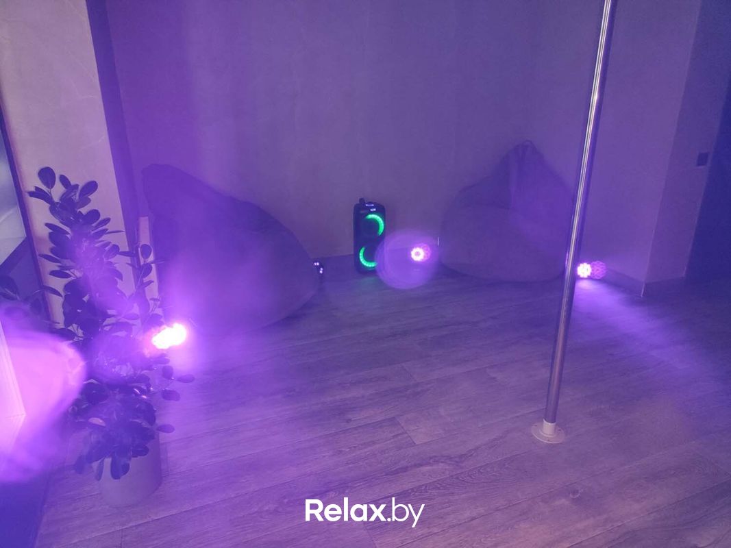 Интерьер Школа танцев VIP Pole Dance (ВипПоулДэнс) - фото 7885093