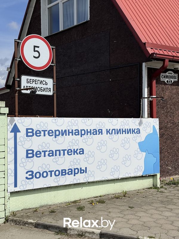 Галерея Ветеринарная клиника «Столетово» - фото 7893149