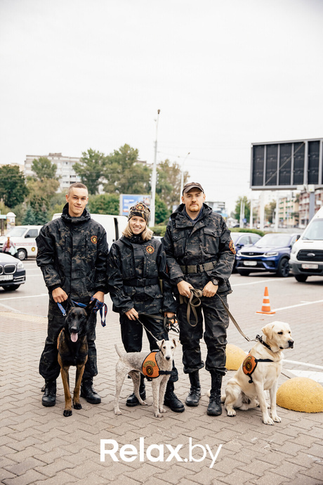 Благотворительная акция пушистого добра, фото № 12