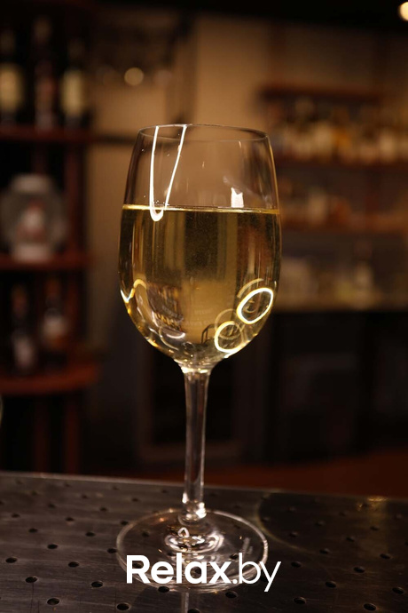 Terra party, фото № 20