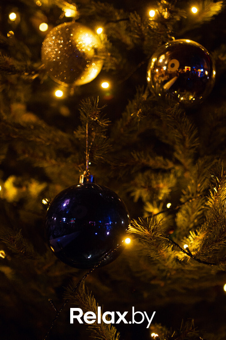 Квартирный Новый Год, фото № 18