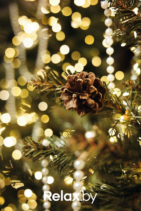 Отдыхаем Броварно, фото № 4