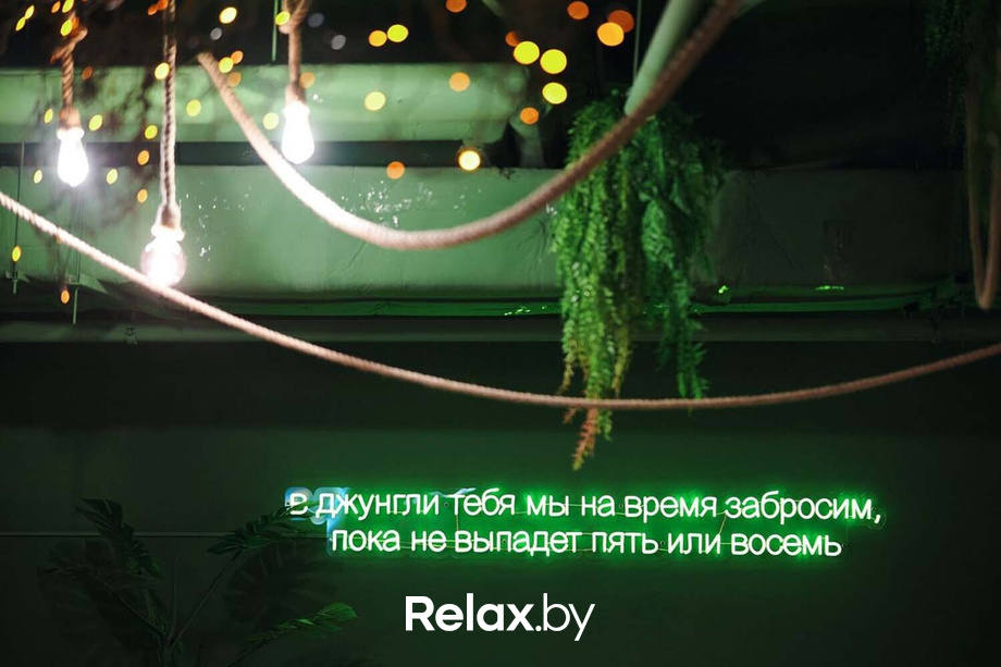 Открытие Джуманджи, фото № 37