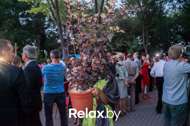 Благотворительный раут, фото № 114