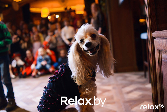 Лучшие фото с новогодних событий, фото № 14