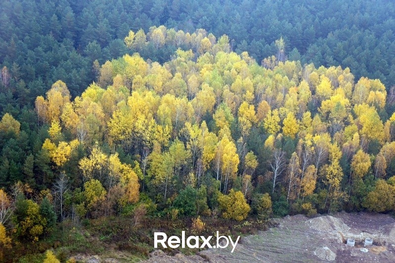 Воздушная прогулка relax.by, фото № 72