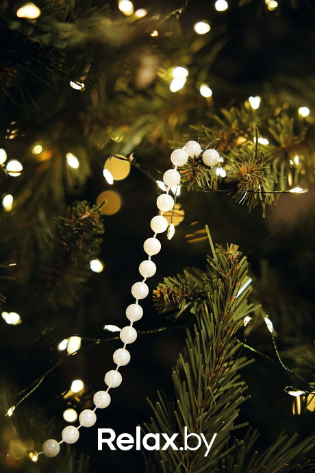 Отдыхаем Броварно, фото № 2