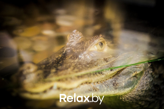 Арбузная суббота, фото № 73