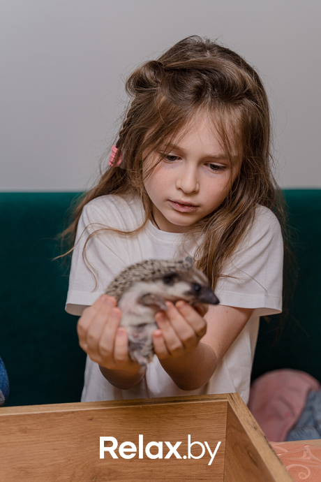 Открытие антикафе «Ёж кафе», фото № 17