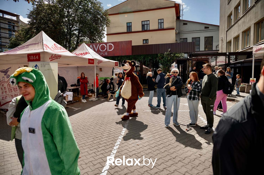 Акция пушистого добра, фото № 64