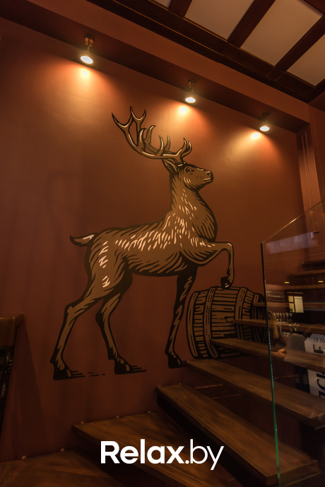 Открытие Бархатного, фото № 18