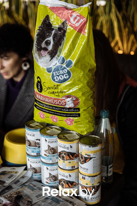 Благотворительная акция пушистого добра, фото № 1