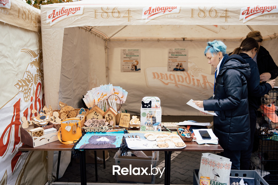 Благотворительная акция пушистого добра, фото № 10