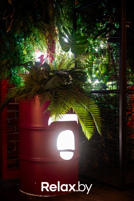 Monkey Brothers, фото № 82