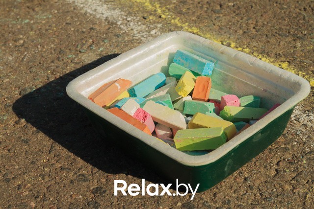 Акция ко Дню защиты животных, фото № 64