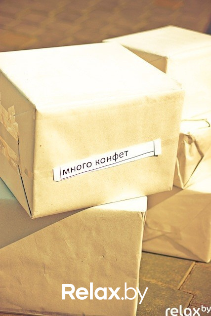 Презентация ŠKODA Rapid, фото № 18