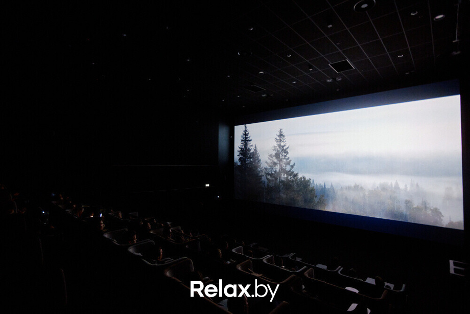 Предпоказ. СЕРДЦЕ ПАРМЫ, фото № 43