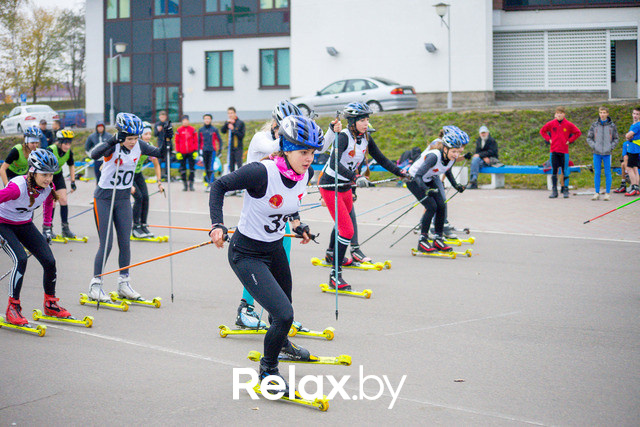 Золотая осень с Васильками, фото № 91
