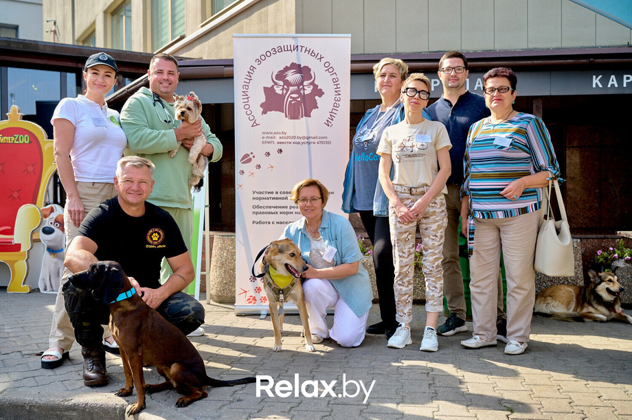 Акция пушистого добра, фото № 31