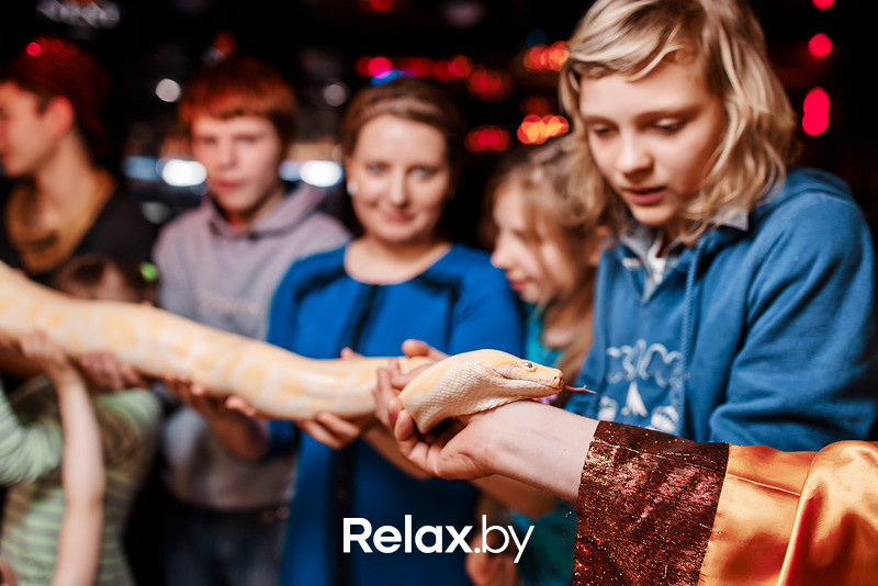 Junior Disco, фото № 178