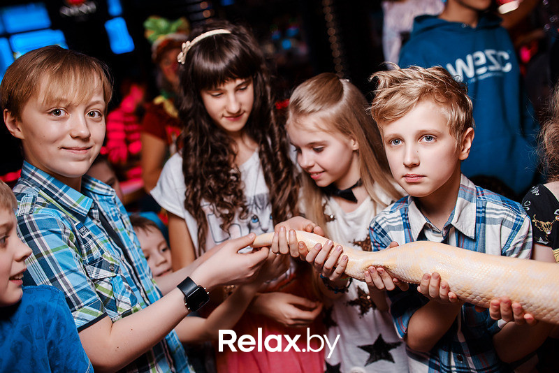 Junior Disco, фото № 176