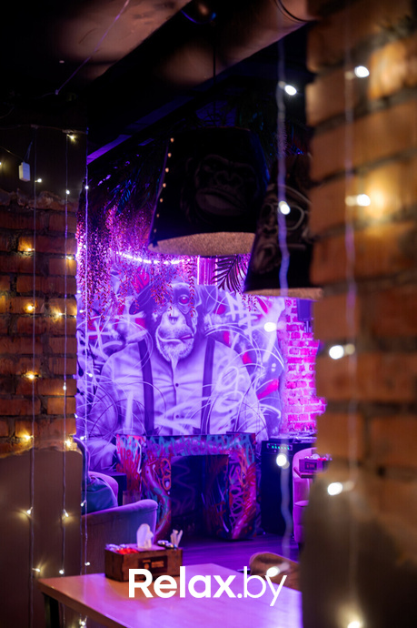 Monkey Brothers, фото № 23