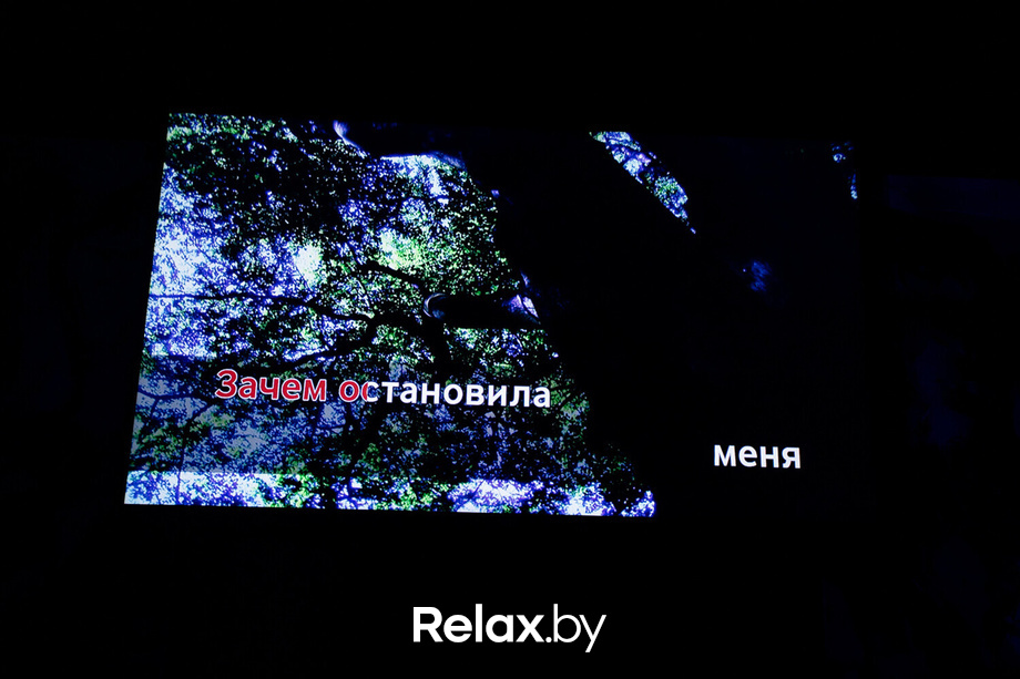 Terra Karaoke, фото № 20