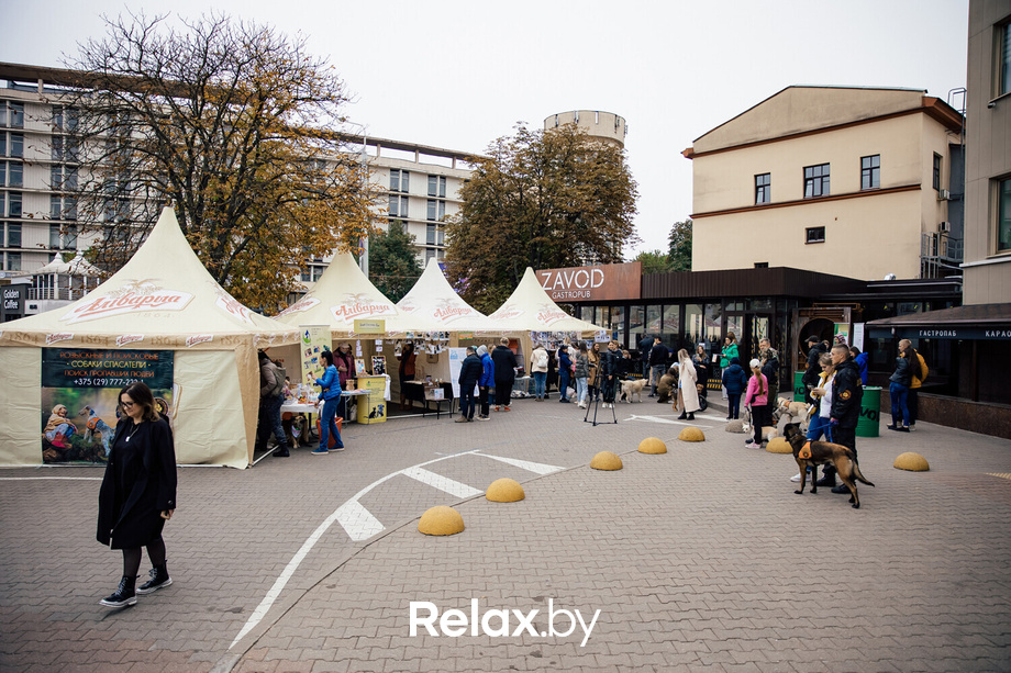 Благотворительная акция пушистого добра, фото № 33