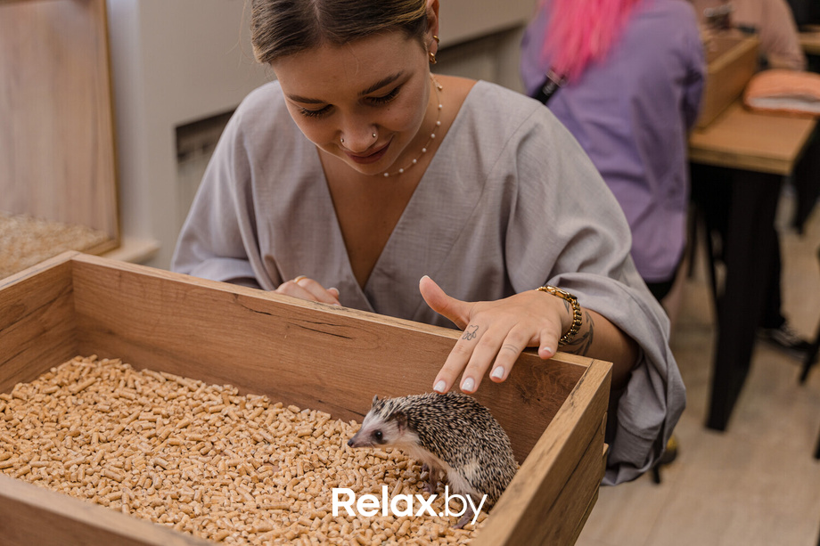 Открытие антикафе «Ёж кафе», фото № 58