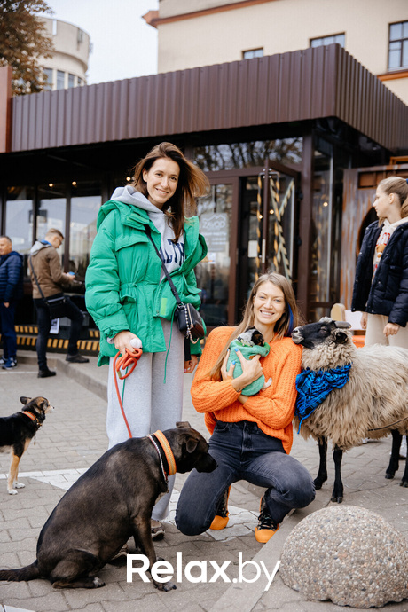 Благотворительная акция пушистого добра, фото № 132