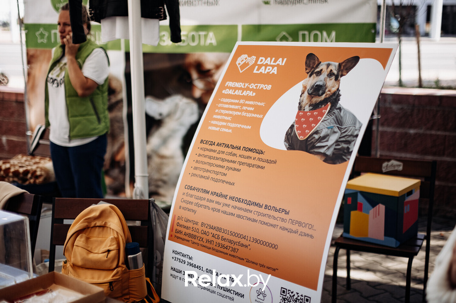 Акция Пушистого Добра, фото № 8