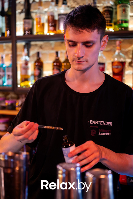 Monkey Brothers, фото № 26