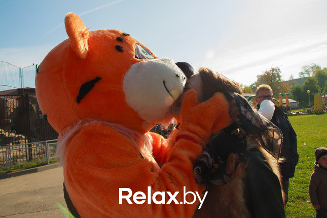 Акция ко Дню защиты животных, фото № 25