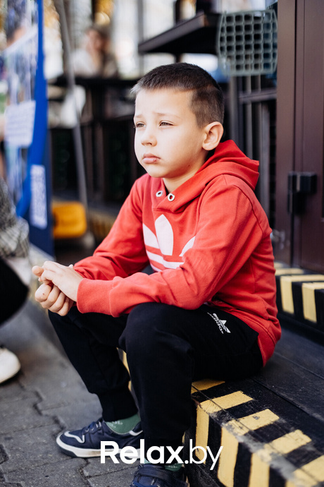 Акция Пушистого Добра, фото № 5