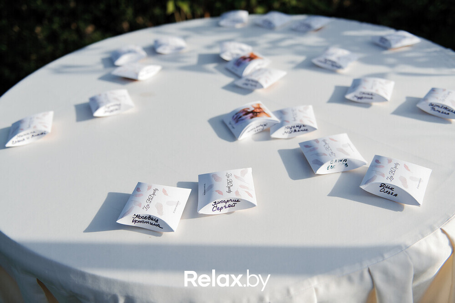 День рождения Светланы Зере, фото № 107