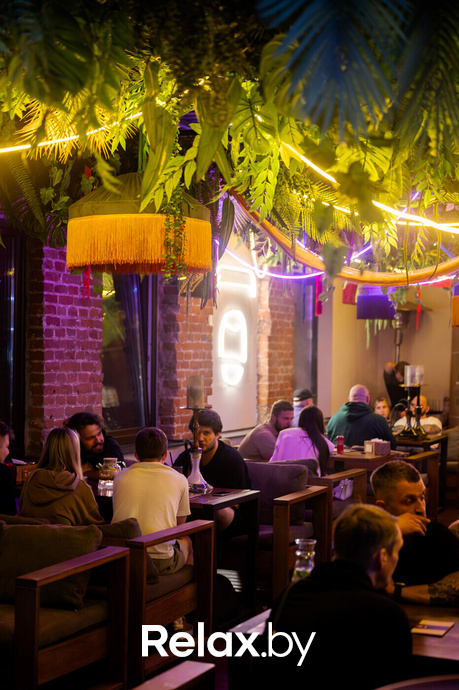 Monkey Brothers, фото № 6