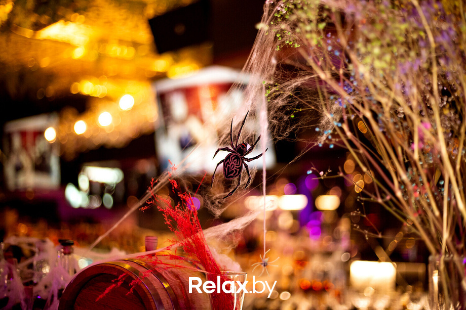 Выступление Владимира Козлова, фото № 60