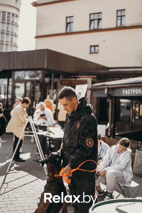 Акция Пушистого Добра, фото № 153