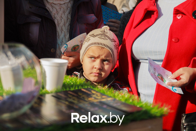 Акция ко Дню защиты животных, фото № 122