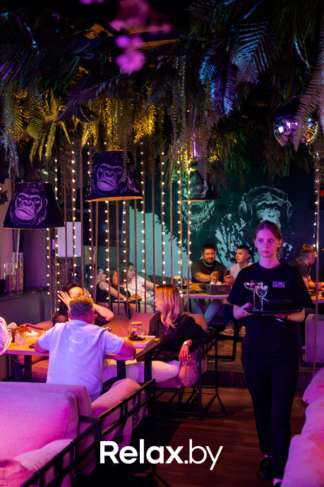 Monkey Brothers, фото № 64